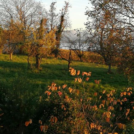 Haus Meersburg Garten Eksteriør billede