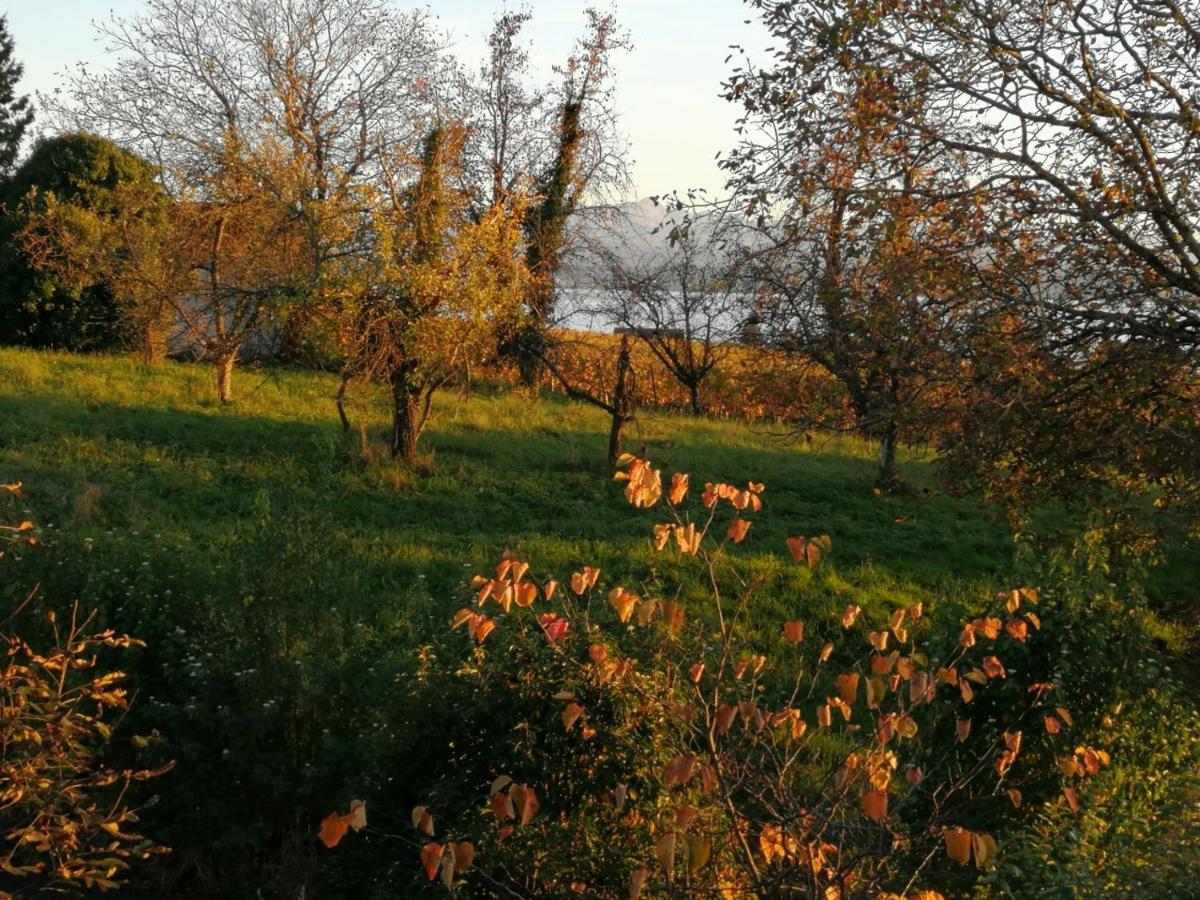 Haus Meersburg Garten Eksteriør billede